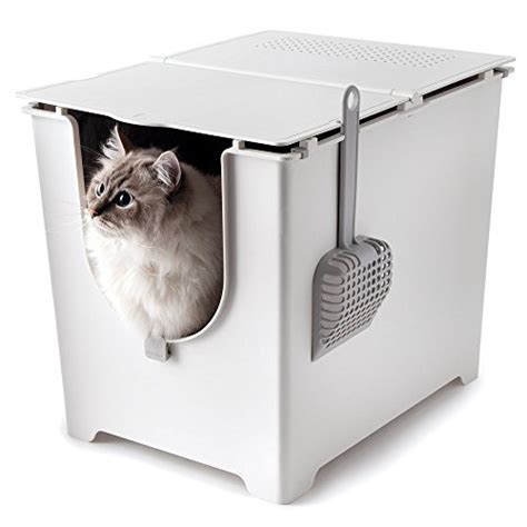 best cat litter box for apartment|apartment litter box solutions.